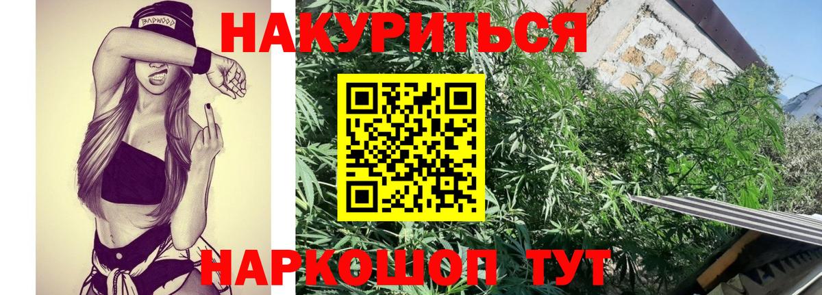 МАРИХУАНА план Богданович